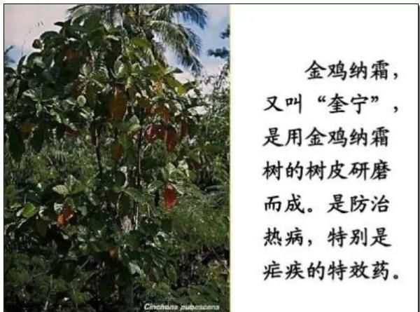 打金传奇发布网站