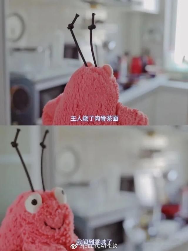 传奇网站999服宠物 传奇网站999服宠物