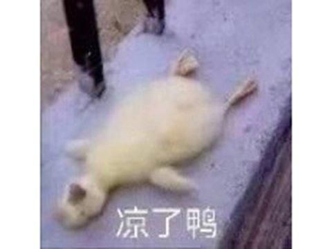 网页传奇开服时间表