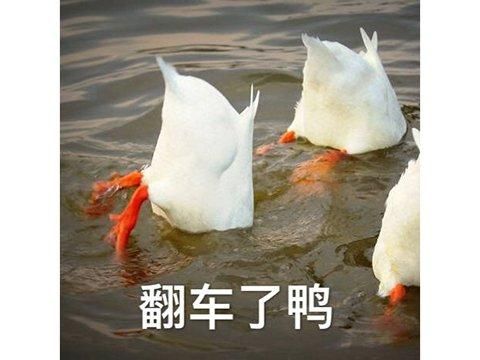 网页传奇开服时间表
