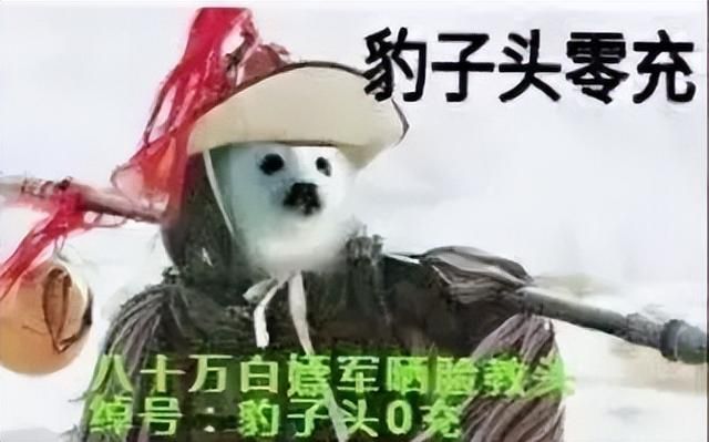 轻变传奇私服发布网站