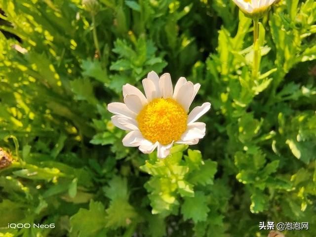 1.80轻变传奇发布网