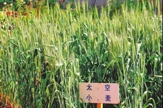 苍穹微变传奇官网
