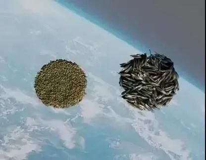 苍穹微变传奇官网