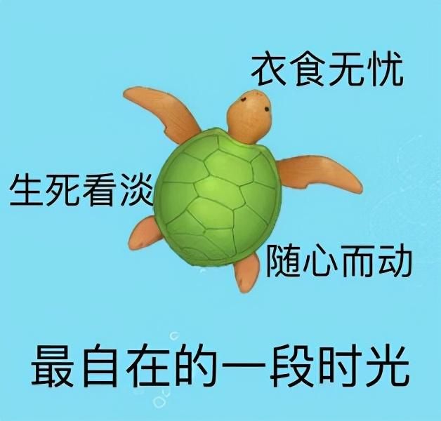 微变传奇世界网页版