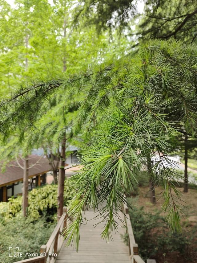 轻变传奇哪种辅助好