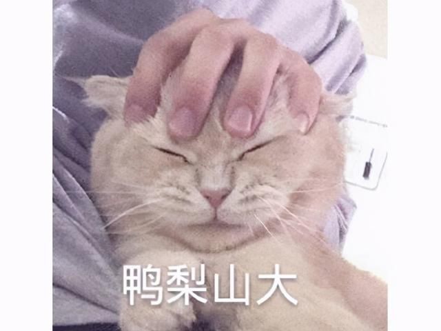 轻变传奇发布