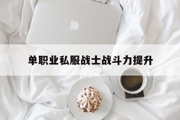 包含单职业私服战士战斗力提升的词条