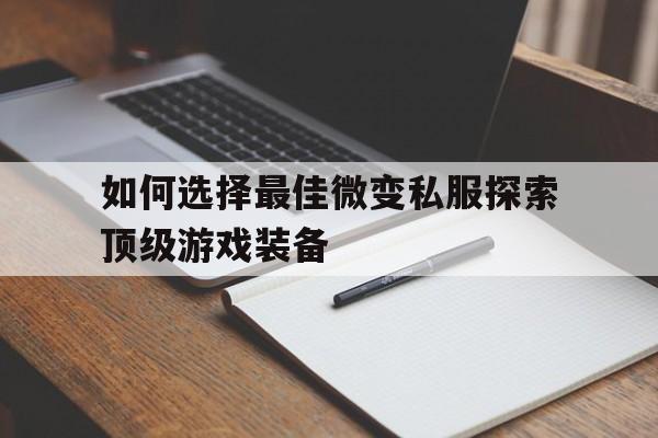 包含如何选择最佳微变私服探索顶级游戏装备的词条
