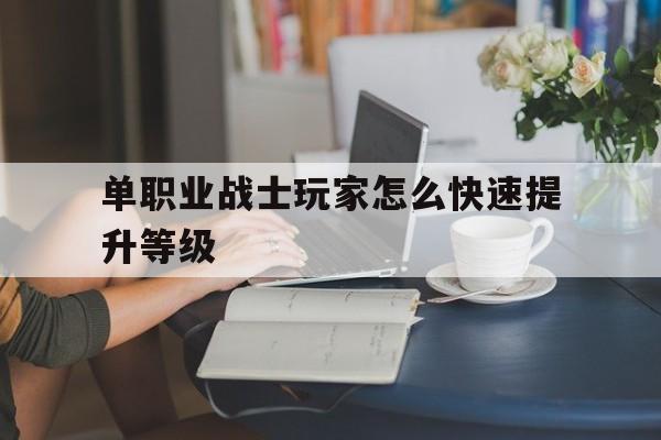 关于单职业战士玩家怎么快速提升等级的信息