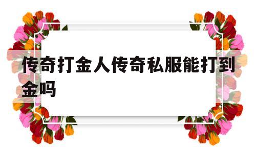 权威评测:传奇打金人传奇私服能打到金吗特色、技能、版本攻略