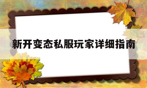 包含新开变态私服玩家详细指南的词条