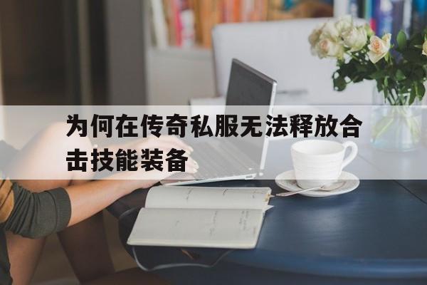 包含为何在传奇私服无法释放合击技能装备的词条