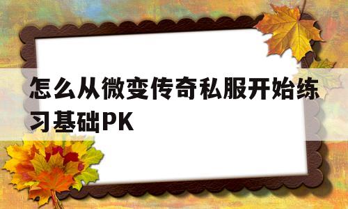 包含怎么从微变传奇私服开始练习基础PK的词条