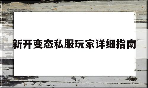 新开变态私服玩家详细指南的简单介绍